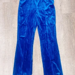 Blinding Blue Velvet Pants